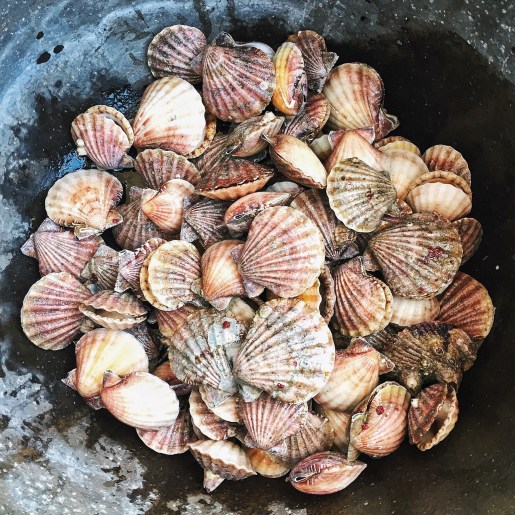 Processed with VSCO with hb2 preset